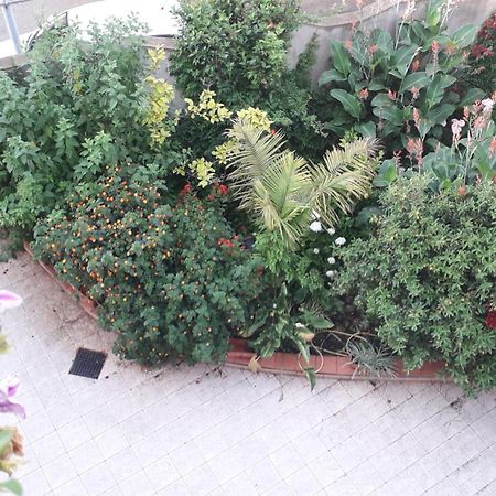 Bed And Breakfast Le Petunie Bari Sardo Zewnętrze zdjęcie